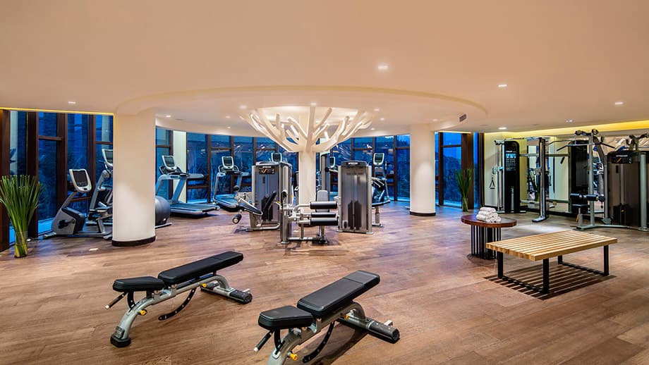 gym_0.jpg 