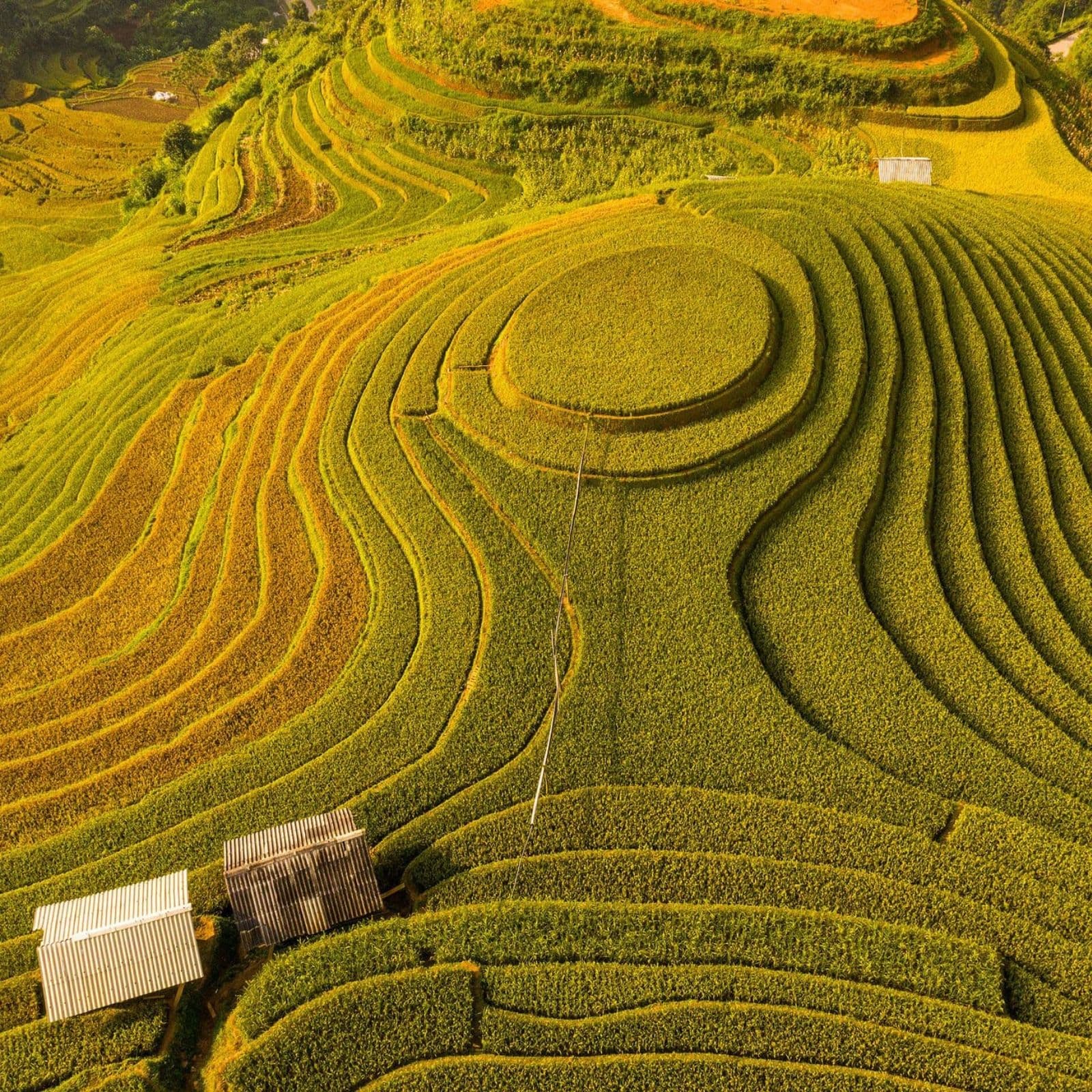Garrya-Mu-Cang-Chai-Must-Visit-Atraction-image3.jpg