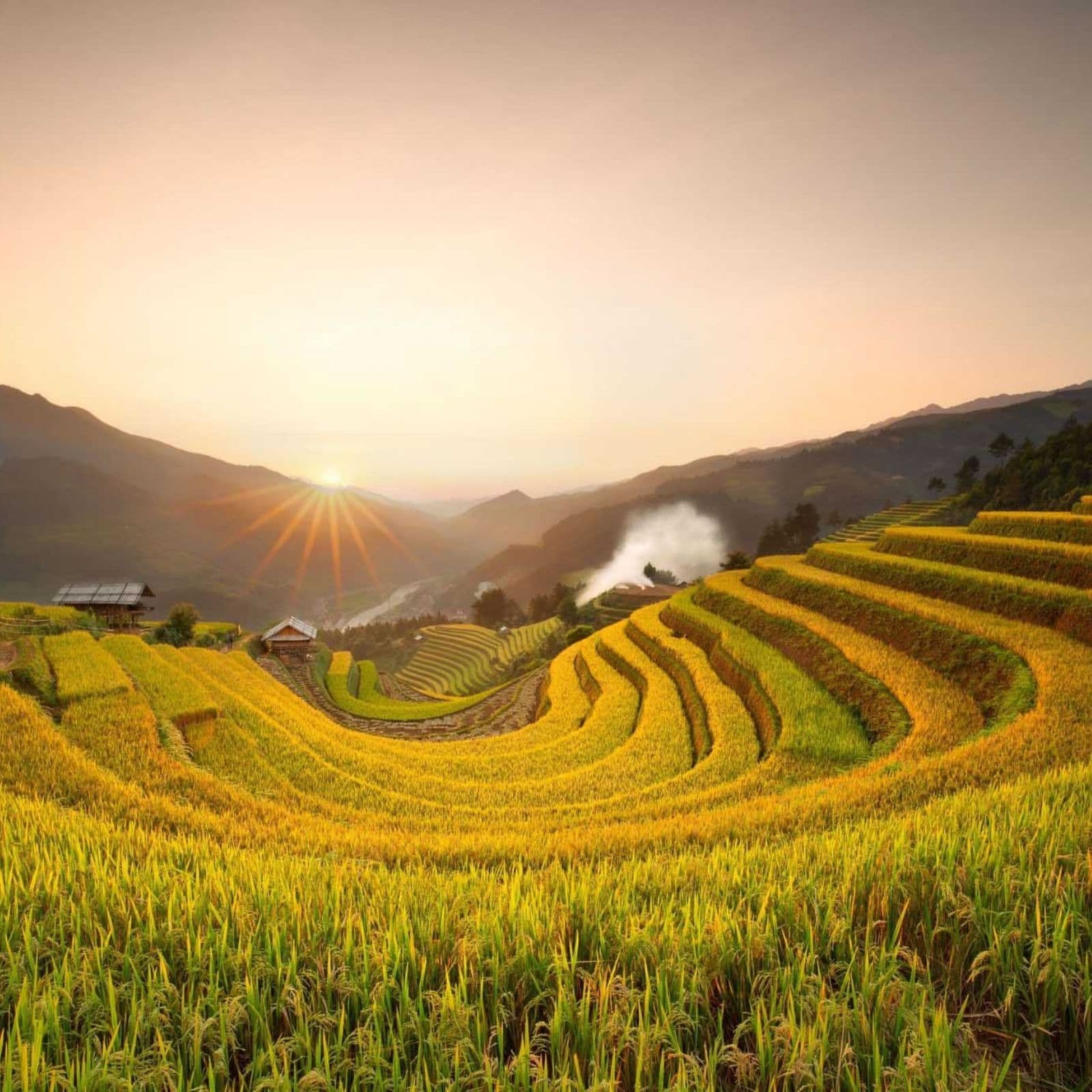 Garrya-Mu-Cang-Chai-Must-Visit-Atraction-image4.jpg